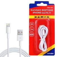 ΚΑΛΩΔΙΟ ΦΟΡΤΙΣΗΣ LIGHTNING 1m