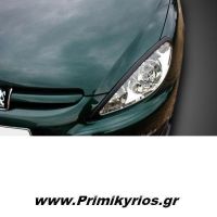 Φρυδάκια Φαναριών Peugeot 307