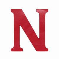 Race Axion - Σήμα Ν Νέων Οδηγών Αυτοκόλλητο με Ματ Πλαστικοποίηση για Εξωτερική Χρήση σε Διαστάσεις 13 x 11,2 cm - 1 Τεμ. (Ν20155-RXCCA)