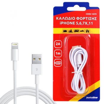 ΚΑΛΩΔΙΟ ΦΟΡΤΙΣΗΣ LIGHTNING 1m