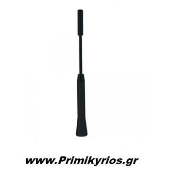 Κεραία Αυτοκινήτου Αλουμινίου