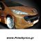 Λασπωτήρες Εμπρός Peugeot 207 ( Ζεύγος )