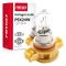 Amio - Λάμπα Αλογόνου PSX24W 12V 24W Βάση PG20-7 για Φώτα Ημέρας (DRL) & Προβολείς Ομίχλης  - 1 τεμ.(04411/AM)